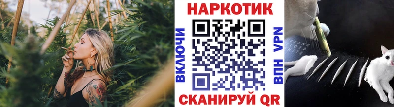 Наркошоп купить МДМА  Меф  АМФ  Псилоцибиновые грибы  ГАШ  Конопля  COCAIN  Псков