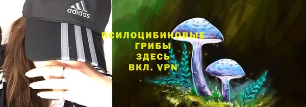 мет Надым