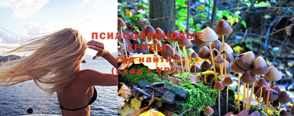 мет Надым