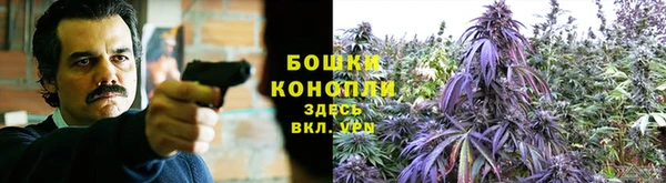 Альфа ПВП Навашино